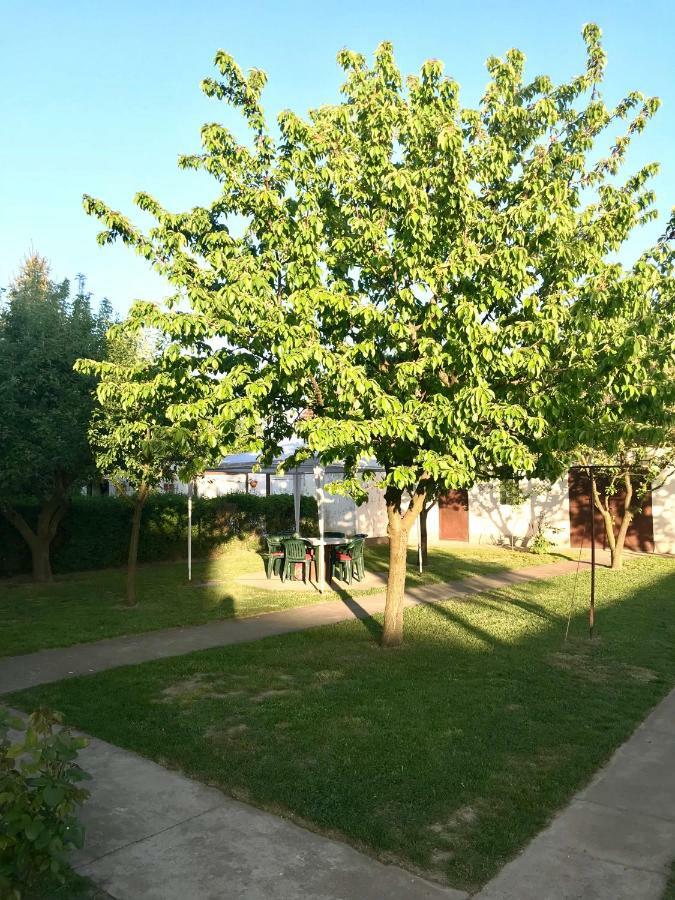 Apartmani Matosevic Ivankovo Exteriér fotografie